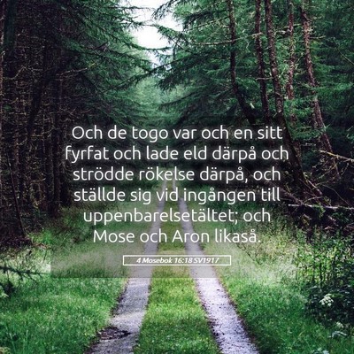 Picture 05 - 4 Mosebok 16:18 SV1917 - Och de togo var och en sitt fyrfat och lade eld - Bible Verse Picture