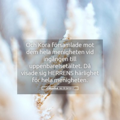 Picture 05 - 4 Mosebok 16:19 SV1917 - Och Kora församlade mot dem hela menigheten vid - Bible Verse Picture
