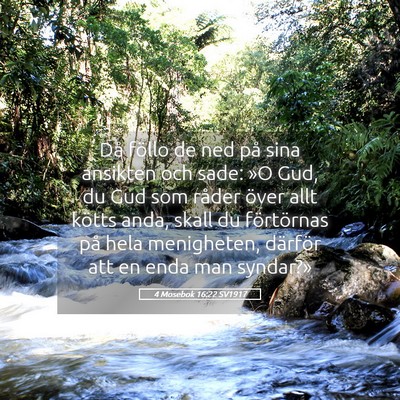 Picture 05 - 4 Mosebok 16:22 SV1917 - Då föllo de ned på sina ansikten och sade: »O - Bible Verse Picture