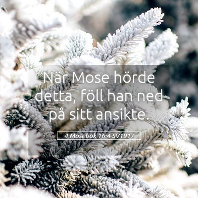 Picture 05 - 4 Mosebok 16:4 SV1917 - När Mose hörde detta, föll han ned på sitt - Bible Verse Picture