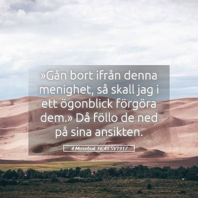 Picture 05 - 4 Mosebok 16:45 SV1917 - »Gån bort ifrån denna menighet, så skall jag - Bible Verse Picture