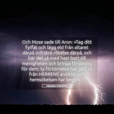 Picture 05 - 4 Mosebok 16:46 SV1917 - Och Mose sade till Aron: »Tag ditt fyrfat och - Bible Verse Picture