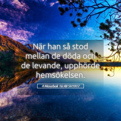Picture 05 - 4 Mosebok 16:48 SV1917 - När han så stod mellan de döda och de levande, - Bible Verse Picture