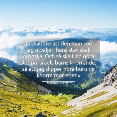 Picture 05 - 4 Mosebok 17:5 SV1917 - Då skall ske att den man som jag utväljer, hans - Bible Verse Picture
