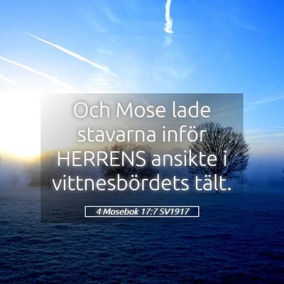Picture 05 - 4 Mosebok 17:7 SV1917 - Och Mose lade stavarna inför HERRENS ansikte i - Bible Verse Picture