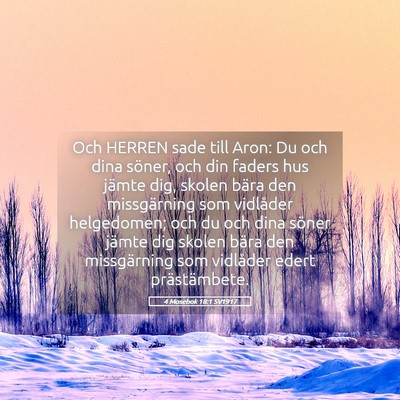 Picture 05 - 4 Mosebok 18:1 SV1917 - Och HERREN sade till Aron: Du och dina söner, - Bible Verse Picture