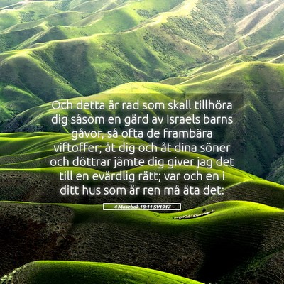 Picture 05 - 4 Mosebok 18:11 SV1917 - Och detta är rad som skall tillhöra dig såsom - Bible Verse Picture