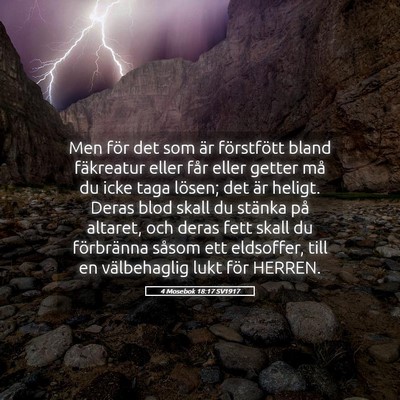 Picture 05 - 4 Mosebok 18:17 SV1917 - Men för det som är förstfött bland fäkreatur - Bible Verse Picture