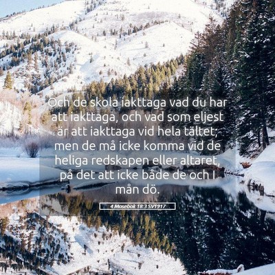 Picture 05 - 4 Mosebok 18:3 SV1917 - Och de skola iakttaga vad du har att iakttaga, - Bible Verse Picture