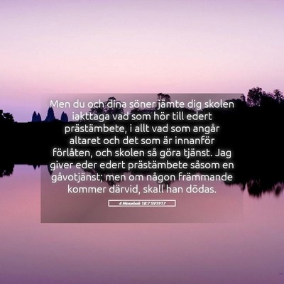 Picture 05 - 4 Mosebok 18:7 SV1917 - Men du och dina söner jämte dig skolen iakttaga - Bible Verse Picture