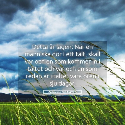 Picture 05 - 4 Mosebok 19:14 SV1917 - Detta är lagen: När en människa dör i ett - Bible Verse Picture