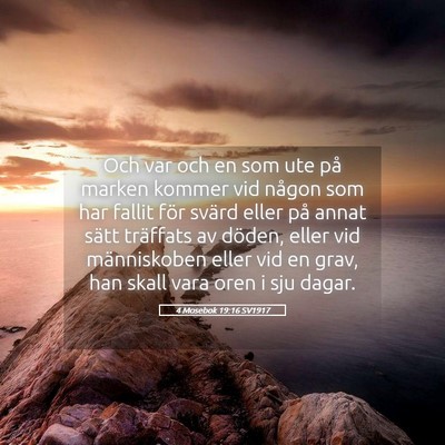 Picture 05 - 4 Mosebok 19:16 SV1917 - Och var och en som ute på marken kommer vid - Bible Verse Picture