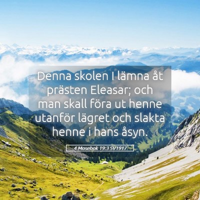 Picture 05 - 4 Mosebok 19:3 SV1917 - Denna skolen I lämna åt prästen Eleasar; och - Bible Verse Picture