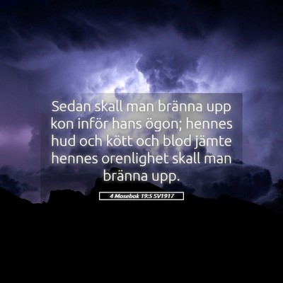 Picture 05 - 4 Mosebok 19:5 SV1917 - Sedan skall man bränna upp kon inför hans - Bible Verse Picture
