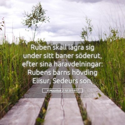 Picture 05 - 4 Mosebok 2:10 SV1917 - Ruben skall lägra sig under sitt baner söderut, - Bible Verse Picture