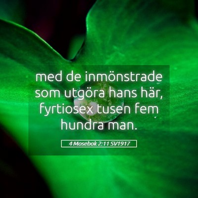 Picture 05 - 4 Mosebok 2:11 SV1917 - med de inmönstrade som utgöra hans här, - Bible Verse Picture