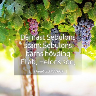 Picture 05 - 4 Mosebok 2:7 SV1917 - Därnäst Sebulons stam: Sebulons barns hövding - Bible Verse Picture