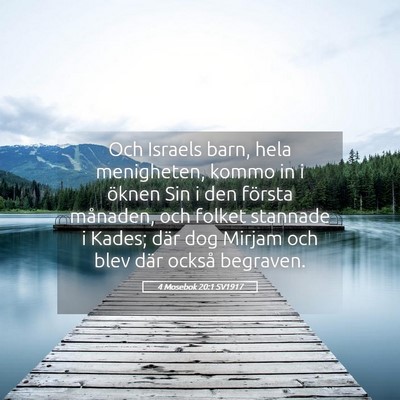 Picture 05 - 4 Mosebok 20:1 SV1917 - Och Israels barn, hela menigheten, kommo in i - Bible Verse Picture