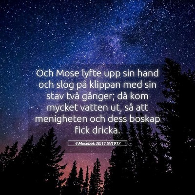 Picture 05 - 4 Mosebok 20:11 SV1917 - Och Mose lyfte upp sin hand och slog på klippan - Bible Verse Picture