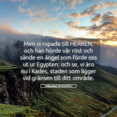 Picture 05 - 4 Mosebok 20:16 SV1917 - Men vi ropade till HERREN, och han hörde vår - Bible Verse Picture