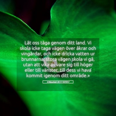 Picture 05 - 4 Mosebok 20:17 SV1917 - Låt oss tåga genom ditt land. Vi skola icke - Bible Verse Picture