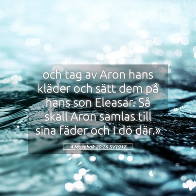 Picture 05 - 4 Mosebok 20:26 SV1917 - och tag av Aron hans kläder och sätt dem på - Bible Verse Picture