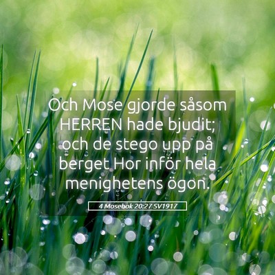 Picture 05 - 4 Mosebok 20:27 SV1917 - Och Mose gjorde såsom HERREN hade bjudit; och de - Bible Verse Picture