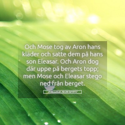 Picture 05 - 4 Mosebok 20:28 SV1917 - Och Mose tog av Aron hans kläder och satte dem - Bible Verse Picture