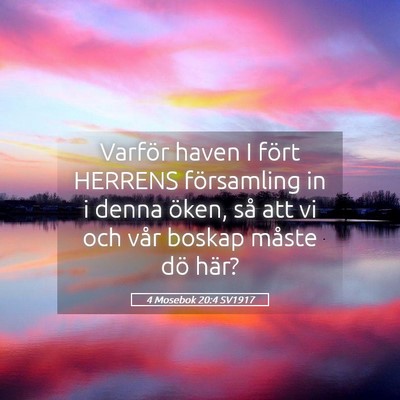 Picture 05 - 4 Mosebok 20:4 SV1917 - Varför haven I fört HERRENS församling in i - Bible Verse Picture