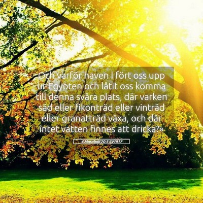 Picture 05 - 4 Mosebok 20:5 SV1917 - Och varför haven I fört oss upp ur Egypten och - Bible Verse Picture