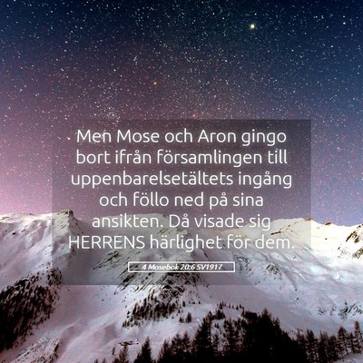 Picture 05 - 4 Mosebok 20:6 SV1917 - Men Mose och Aron gingo bort ifrån församlingen - Bible Verse Picture