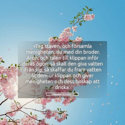 Picture 05 - 4 Mosebok 20:8 SV1917 - »Tag staven, och församla menigheten, du med - Bible Verse Picture