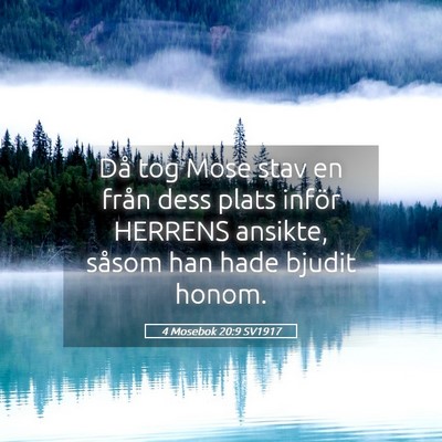 Picture 05 - 4 Mosebok 20:9 SV1917 - Då tog Mose stav en från dess plats inför - Bible Verse Picture