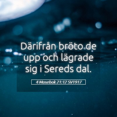 Picture 05 - 4 Mosebok 21:12 SV1917 - Därifrån bröto de upp och lägrade sig i - Bible Verse Picture