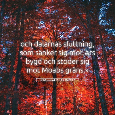 Picture 05 - 4 Mosebok 21:15 SV1917 - och dalarnas sluttning, som sänker sig mot Ars - Bible Verse Picture