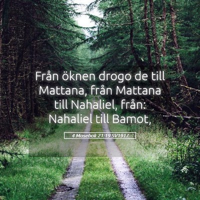 Picture 05 - 4 Mosebok 21:19 SV1917 - Från öknen drogo de till Mattana, från Mattana - Bible Verse Picture