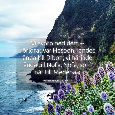 Picture 05 - 4 Mosebok 21:30 SV1917 - Vi sköto ned dem -- förlorat var Hesbon, landet - Bible Verse Picture
