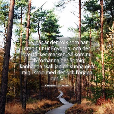 Picture 05 - 4 Mosebok 22:11 SV1917 - 'Se, här är det folk som har dragit ut ur - Bible Verse Picture