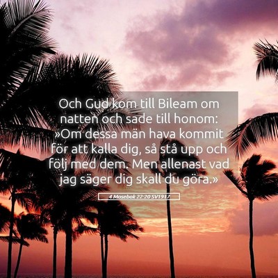 Picture 05 - 4 Mosebok 22:20 SV1917 - Och Gud kom till Bileam om natten och sade till - Bible Verse Picture