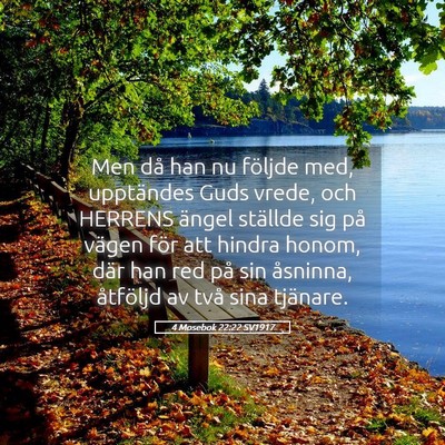 Picture 05 - 4 Mosebok 22:22 SV1917 - Men då han nu följde med, upptändes Guds - Bible Verse Picture