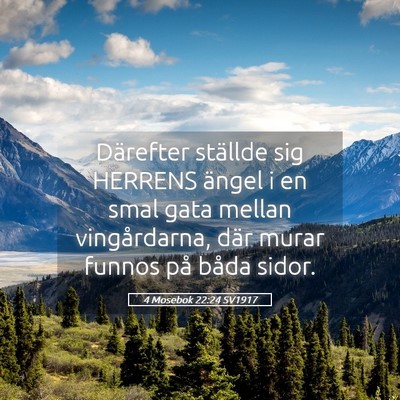Picture 05 - 4 Mosebok 22:24 SV1917 - Därefter ställde sig HERRENS ängel i en smal - Bible Verse Picture
