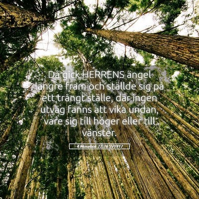 Picture 05 - 4 Mosebok 22:26 SV1917 - Då gick HERRENS ängel längre fram och ställde - Bible Verse Picture