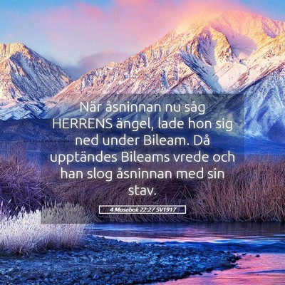 Picture 05 - 4 Mosebok 22:27 SV1917 - När åsninnan nu såg HERRENS ängel, lade hon - Bible Verse Picture