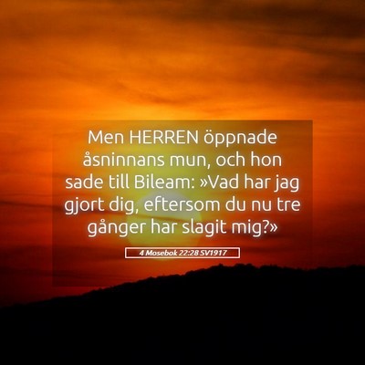 Picture 05 - 4 Mosebok 22:28 SV1917 - Men HERREN öppnade åsninnans mun, och hon sade - Bible Verse Picture