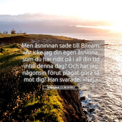 Picture 05 - 4 Mosebok 22:30 SV1917 - Men åsninnan sade till Bileam: »Är icke jag - Bible Verse Picture