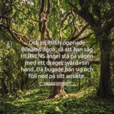 Picture 05 - 4 Mosebok 22:31 SV1917 - Och HERREN öppnade Bileams ögon, så att han - Bible Verse Picture