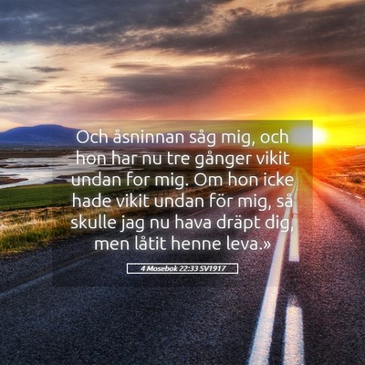 Picture 05 - 4 Mosebok 22:33 SV1917 - Och åsninnan såg mig, och hon har nu tre - Bible Verse Picture