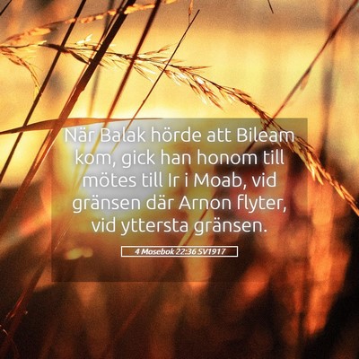 Picture 05 - 4 Mosebok 22:36 SV1917 - När Balak hörde att Bileam kom, gick han honom - Bible Verse Picture