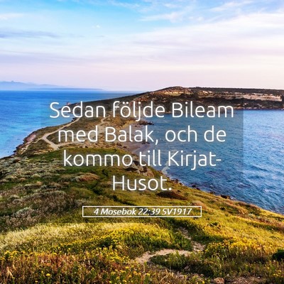 Picture 05 - 4 Mosebok 22:39 SV1917 - Sedan följde Bileam med Balak, och de kommo till - Bible Verse Picture