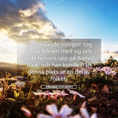 Picture 05 - 4 Mosebok 22:41 SV1917 - Och följande morgon tog Balak Bileam med sig och - Bible Verse Picture